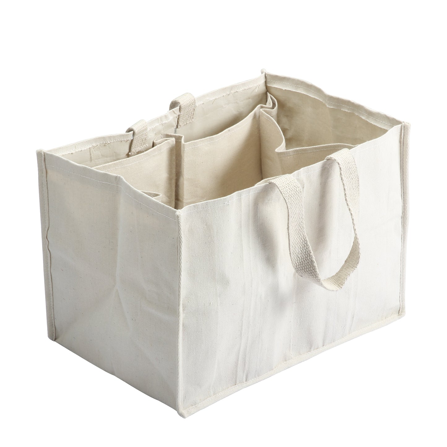 Laminated Grocery bag